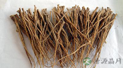 柴胡的功效与作用_柴胡的副作用 柴胡的功效与作用_柴胡的副作用