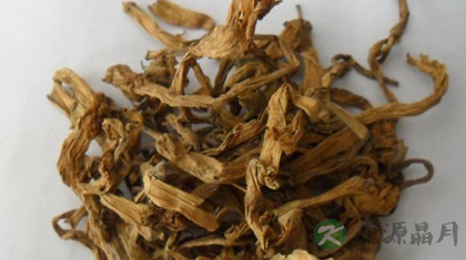 洋金花的功效与作用_洋金花的药用价值 洋金花的功效与作用_洋金花的药用价值