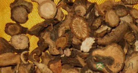 中药赤药的功效与作用 中药赤药的功效与作用