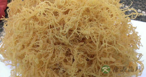 麒麟菜的药用价值_麒麟菜的副作用 麒麟菜的药用价值_麒麟菜的副作用