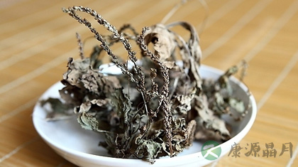 车前草的功效与作用_车前草的药用价值 车前草的功效与作用_车前草的药用价值