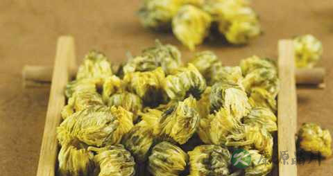 中药菊花功效 中药菊花功效