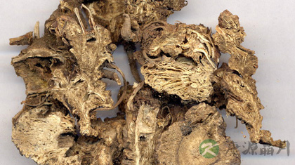 藁本的功效与作用_藁本的药用价值 藁本的功效与作用_藁本的药用价值