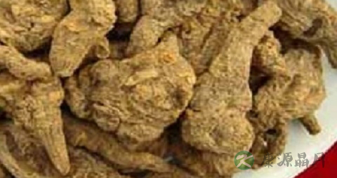 中药地黄功效与作用 中药地黄功效与作用