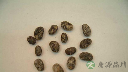 淡豆豉的功效与作用_淡豆豉的药用价值 淡豆豉的功效与作用_淡豆豉的药用价值