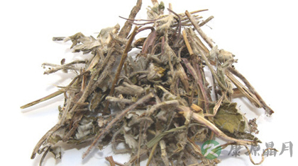 翻白草的功效与作用_翻白草的药用价值 翻白草的功效与作用_翻白草的药用价值