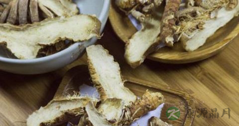 中药知母的作用 中药知母的作用