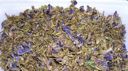 葛花的功效与作用_葛花的药用价值 葛花的功效与作用_葛花的药用价值
