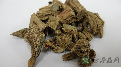 续断的功效与作用_续断的药用价值 续断的功效与作用_续断的药用价值