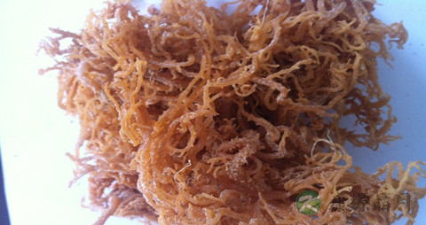麒麟菜的药用价值_麒麟菜的副作用 麒麟菜的药用价值_麒麟菜的副作用