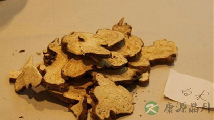 白术的功效与作用_白术的药用价值 白术的功效与作用_白术的药用价值