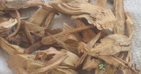 鹰不泊的功效与作用 鹰不泊的功效与作用