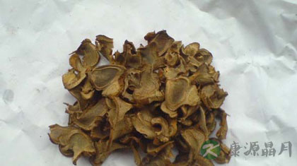 狗脊的功效与作用_狗脊的药用价值 狗脊的功效与作用_狗脊的药用价值
