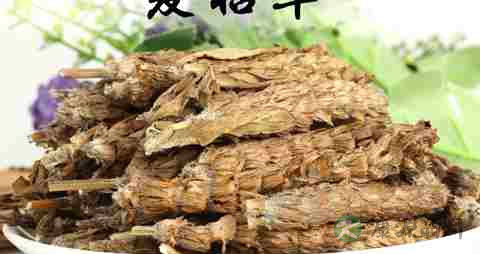中药夏枯草的作用 中药夏枯草的作用