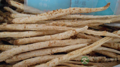 北沙参的功效与作用_北沙参的药用价值 北沙参的功效与作用_北沙参的药用价值