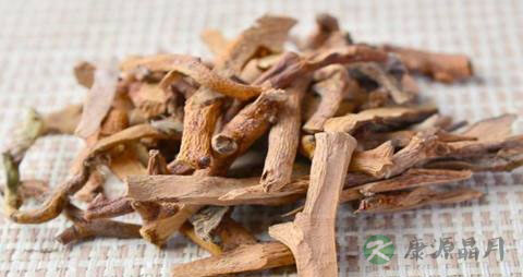中药骨碎补的作用 中药骨碎补的作用