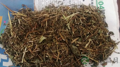 冬凌草的功效与作用_冬凌草的药用价值 冬凌草的功效与作用_冬凌草的药用价值