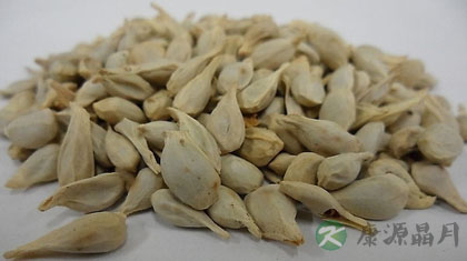 橘核的功效与作用_橘核的药用价值 橘核的功效与作用_橘核的药用价值