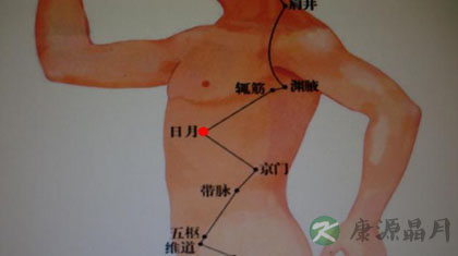 辄筋穴在哪里_辄筋穴的准确位置图 辄筋穴在哪里_辄筋穴的准确位置图