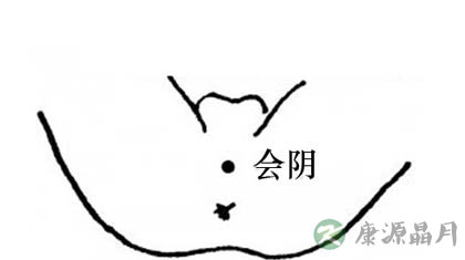 会阴穴在哪里_会阴穴的准确位置图 会阴穴在哪里_会阴穴的准确位置图