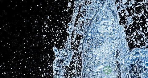水中毒怎么办 水中毒怎么办