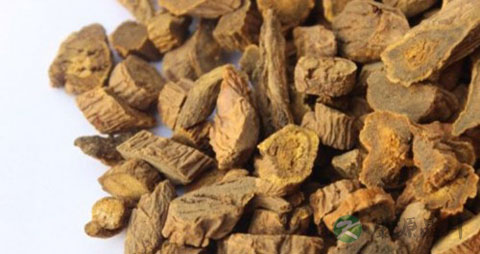 大黄牡丹汤服用方法和剂量 大黄牡丹汤服用方法和剂量