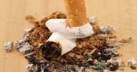 治白发的食疗偏方 治白发的食疗偏方
