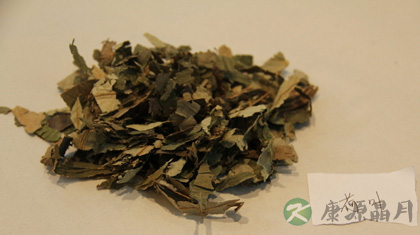 十灰散有凉血止血功效 十灰散有凉血止血功效