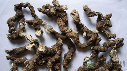 平陈调胃汤的功效与作用 平陈调胃汤的功效与作用