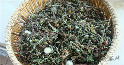 偏方治疗掌趾脓疱 偏方治疗掌趾脓疱