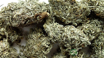 肝胆湿热吃什么中成药 肝胆湿热吃什么中成药