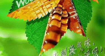 春季装修 涂料选购应注意的二三事 春季装修 涂料选购应注意的二三事
