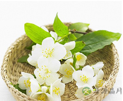 不同花茶养生效果各异 不同花茶养生效果各异