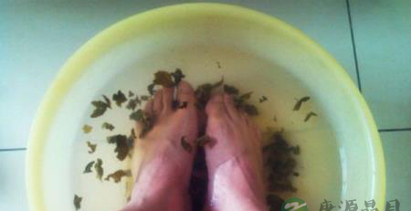 茶叶泡脚有哪些作用 茶叶泡脚有哪些作用