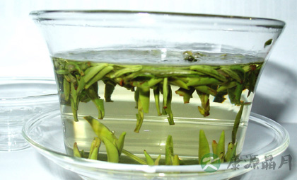 日常保健茶有哪些种类 日常保健茶有哪些种类