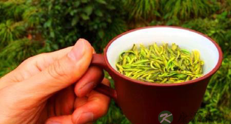 这4类中药配茶服用更有效 这4类中药配茶服用更有效