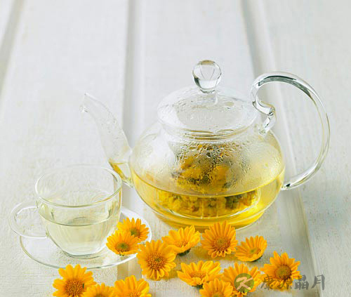 秋季饮茶选菊花茶 补水润燥抗疾病 秋季饮茶选菊花茶 补水润燥抗疾病