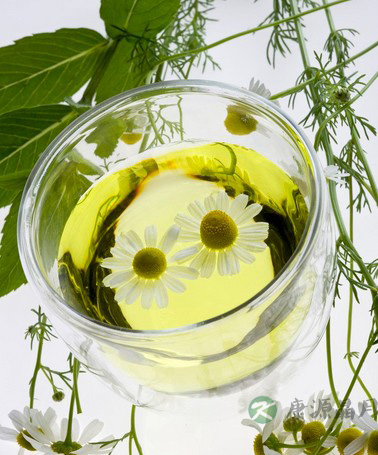 秋季饮茶选菊花茶 补水润燥抗疾病 秋季饮茶选菊花茶 补水润燥抗疾病