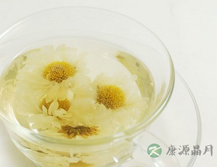 饮用菊花茶有哪些注意事项 饮用菊花茶有哪些注意事项