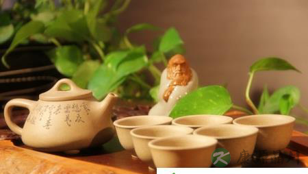 胃不好,又容易感冒就喝这9种茶 胃不好,又容易感冒就喝这9种茶
