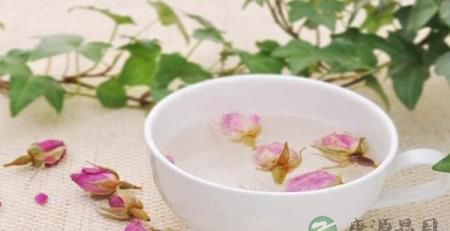 总有一种茶适合你 总有一种茶适合你