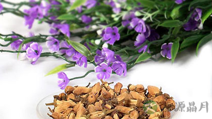 玳玳花茶的功效与作用 玳玳花茶的功效与作用