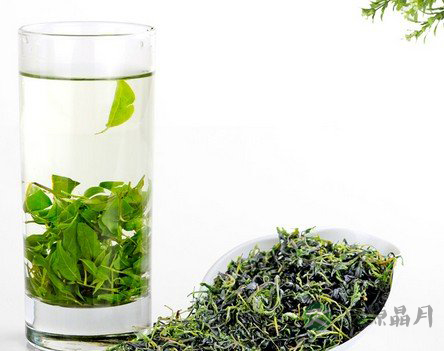 苦丁茶的功效与药用价值 苦丁茶的功效与药用价值