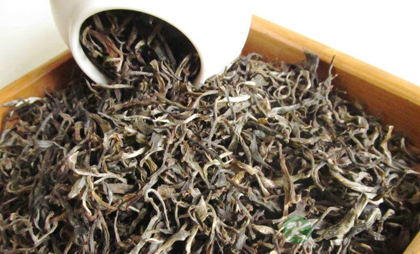 生茶和熟茶的区别 生茶味苦涩熟茶陈香 生茶和熟茶的区别 生茶味苦涩熟茶陈香