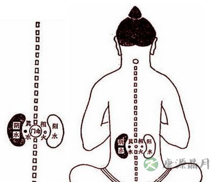道家教你3种补肾方 道家教你3种补肾方