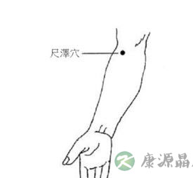 手太阴肺经养生 肺经各穴位的位置与作用 手太阴肺经养生 肺经各穴位的位置与作用