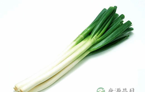 家用调料 葱的药用小验方 家用调料 葱的药用小验方