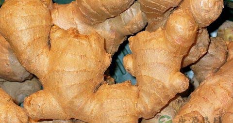 生完孩子能吃火龙果吗 生完孩子能吃火龙果吗