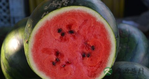 小儿扁桃体肥大食疗法 小儿扁桃体肥大食疗法