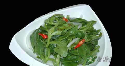 孕妇能吃菠菜吗 孕妇能吃菠菜吗